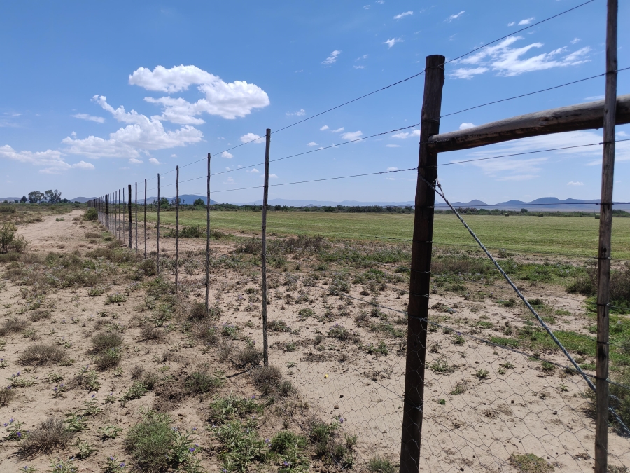 4 Bedroom Property for Sale in Steynsburg Eastern Cape